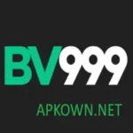Bv999 Game