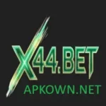 X44 Game