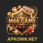 M66 Game