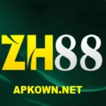 ZH88 Game
