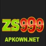 Zs999 Game