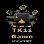 TK11 Game