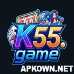 K55 Game