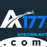 A177 Game