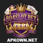 804Slot Game
