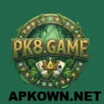 PK8 Game