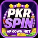 PKR SPIN Game
