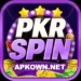 PKR SPIN Game